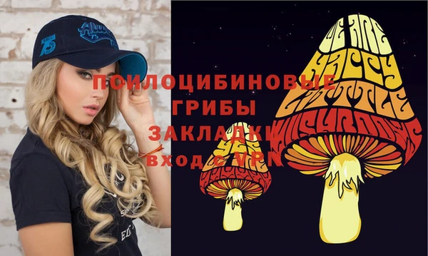 первитин Абинск
