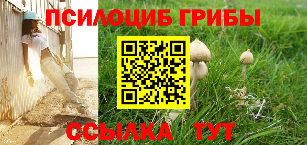 Галлюциногенные грибы MAGIC MUSHROOMS  Вход с VPN  Татарск 